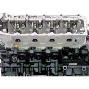Alternative view of VEGE Remanufactured Long Block Crate Engines DDF9