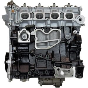 Alternative view of VEGE Remanufactured Long Block Crate Engines DFFA