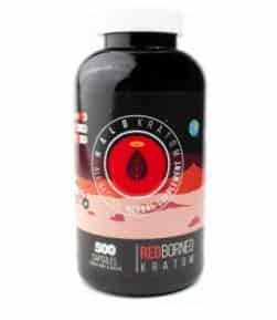 Halo Red Borneo Kratom Capsules